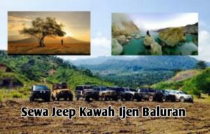 sewa jeep kawah ijen baluran